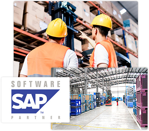 Company Management-SAP System